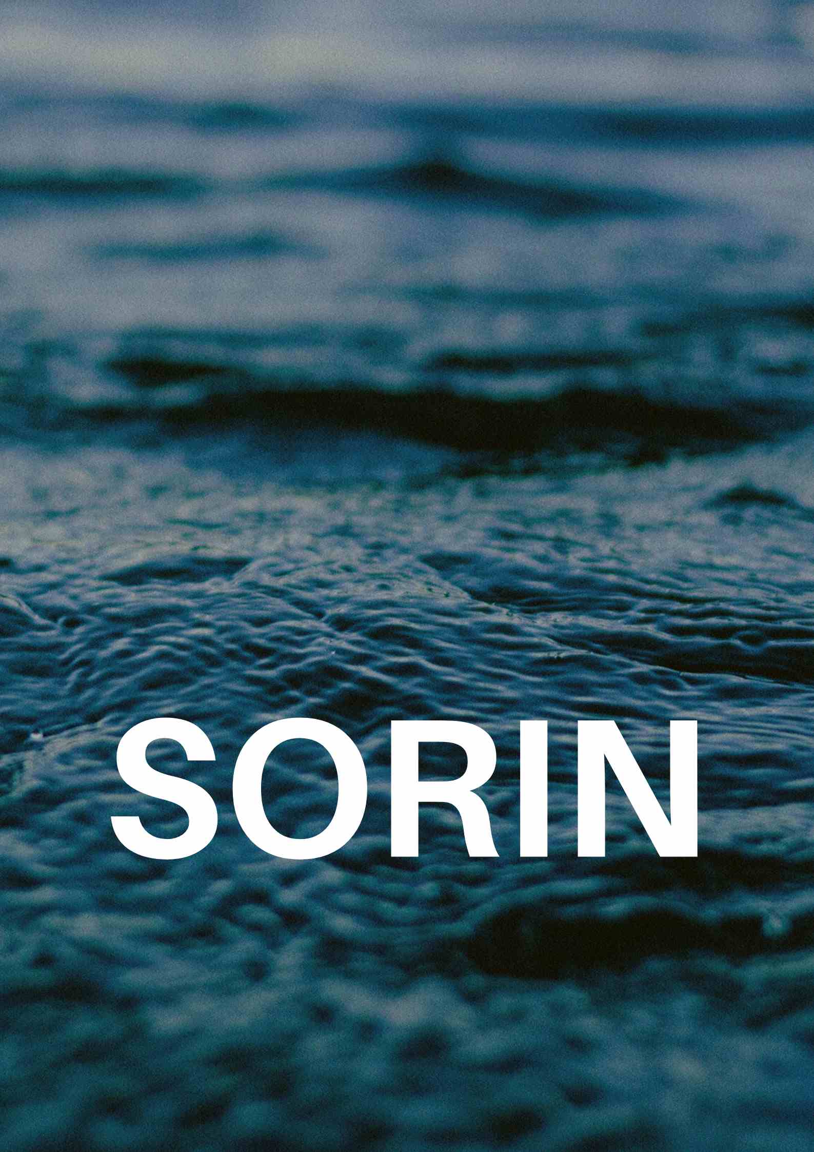 SORIN: Smart and Rapid Inventory 