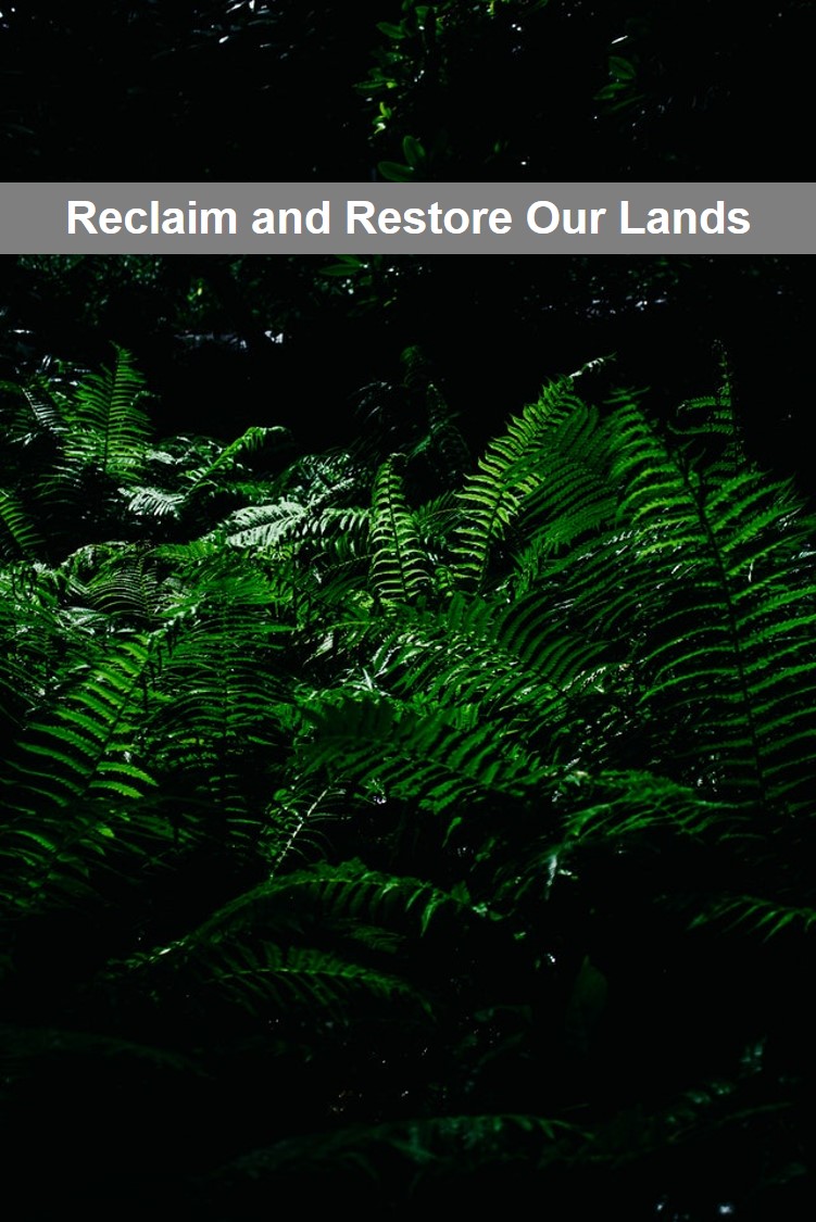 Reclaim and Restore Our Lands