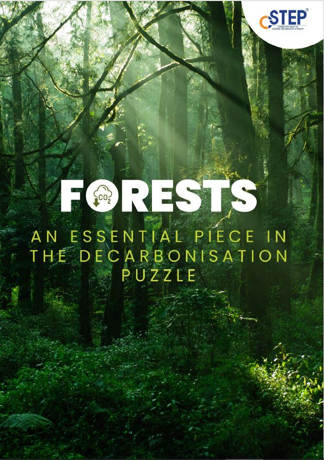 Forests: An essential piece in the decarbonisation puzzle