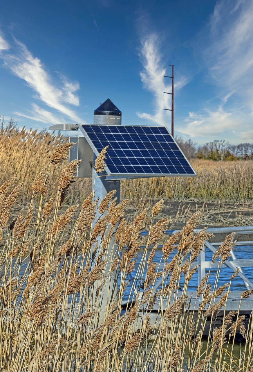 A budget boost for solar power could reshape india’s energy and agricultural landscape