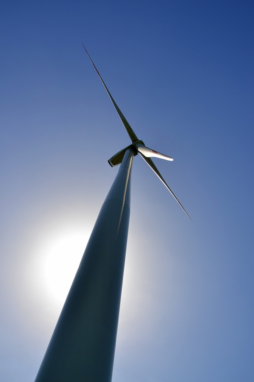 Can the 2025 union budget be a catalyst for offshore wind?