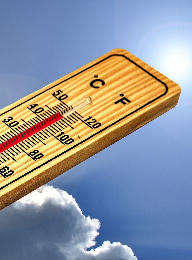 Focus on heat-resilience despite the monsoon