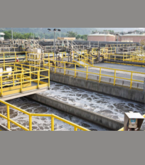 Quotes & Notes: Green Gains