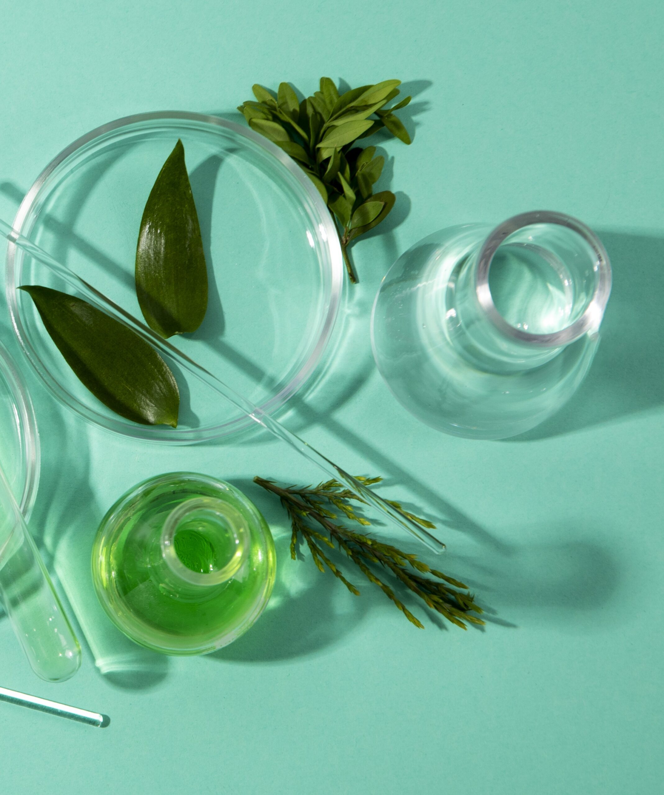 Sustainable biomanufacturing: Key to India’s green transition