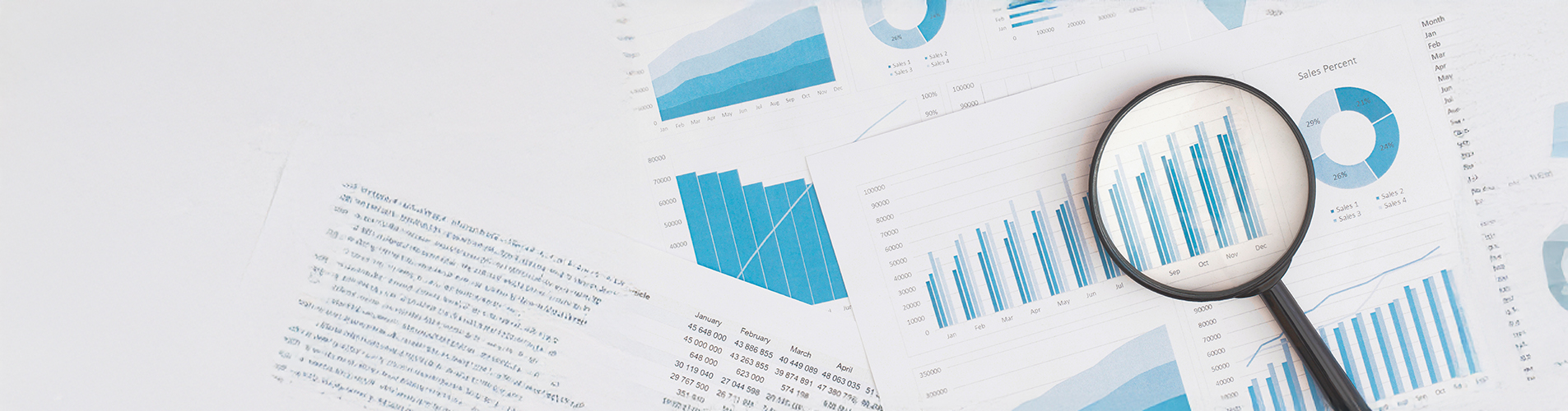 Graphs and charts showing annual progress