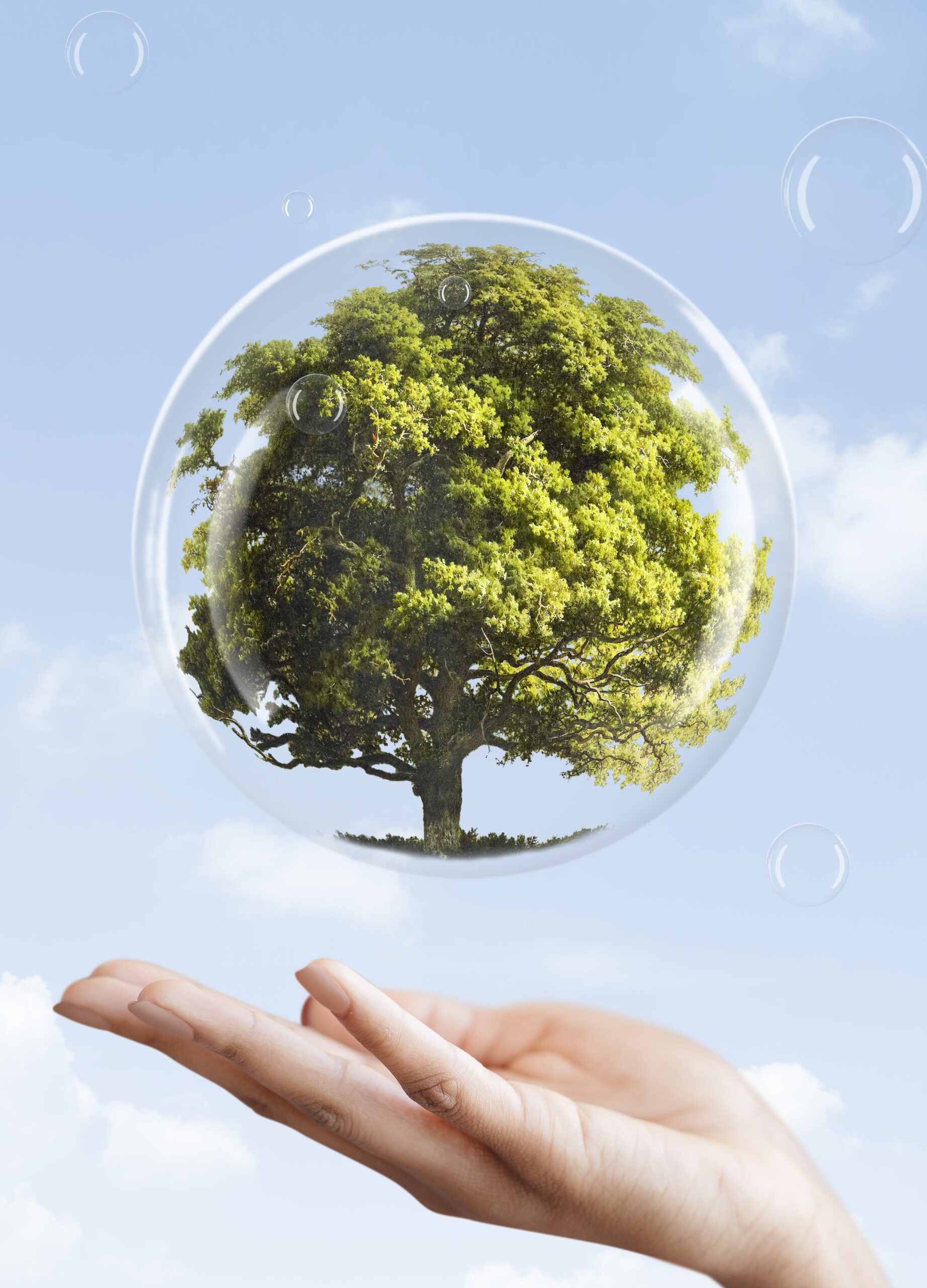 Climate resilience must be built into infrastructure and social and political systems