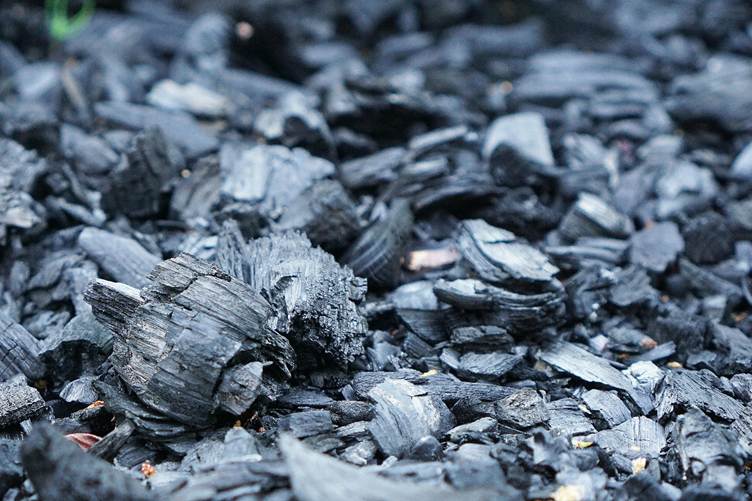 What is the potential of biochar? | Explained