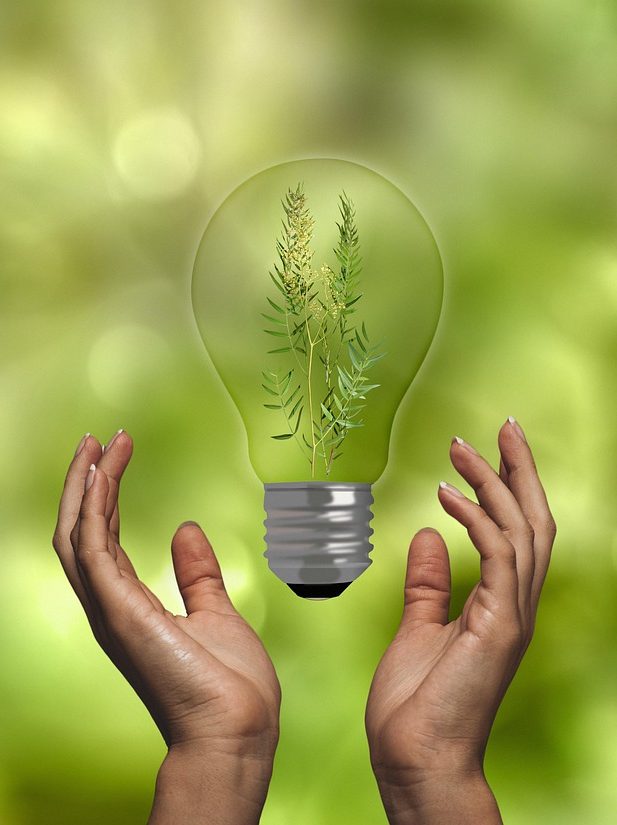 Integrated Sustainable Energy Solutions for Andhra Pradesh : Assessing energy storage at the DISCOM level