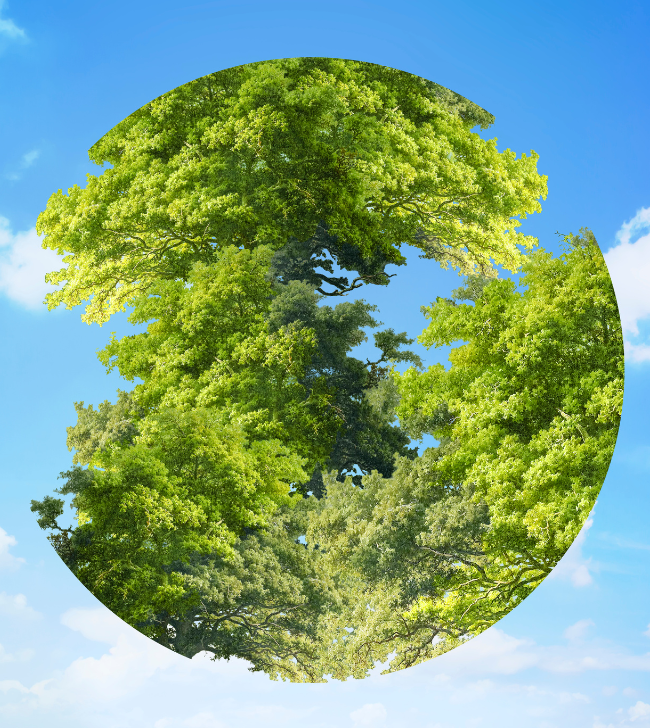 Looping in Systemic Impact