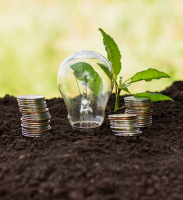 Opinion | EU’s Carbon Credit Buying Mechanism: Old Dog, Old Tricks