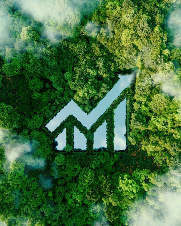 Thinking in Models: The Missing Feedbacks in India’s Finance–Growth–Decarbonisation Nexus