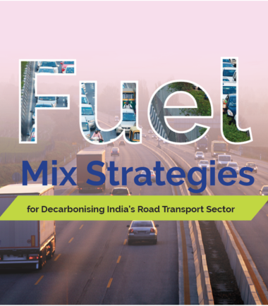 Fuel mix strategies for decarbonising India’s road transport sector