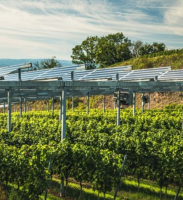 Powering one district one product (ODOP) and mega food parks with agrivoltaics