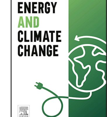 System dynamics modelling of India’s net zero transition
