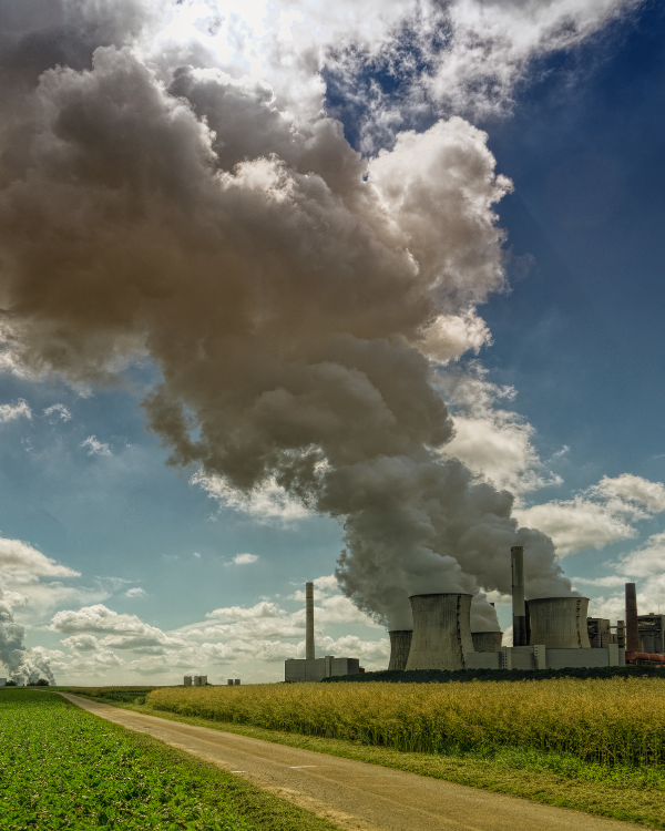 Let Bygones not be Bygones: Sustainable Solutions for saving monuments from Air Pollution