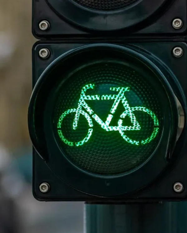 Road to Sustainability: The Crucial Role of Transportation Sector Reforms in Advancing the SDGs