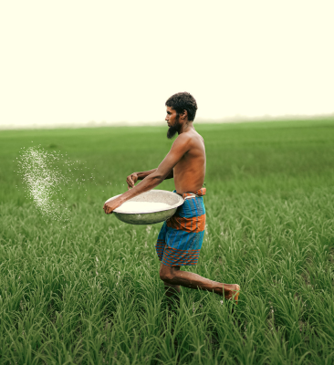 Why India must reduce its dependence on conventional urea