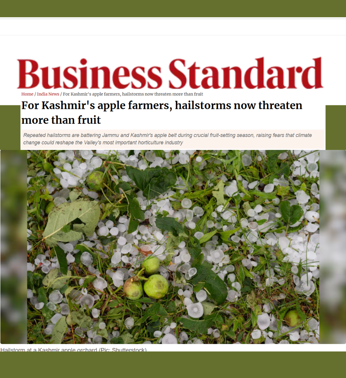 In this Business Standard, Indu Murthy noted how shifting flowering and weather patterns are increasing climate risks during harvest season