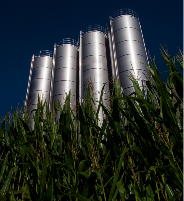 Real markers of success for ethanol blending: What it entails, why and how much it costs