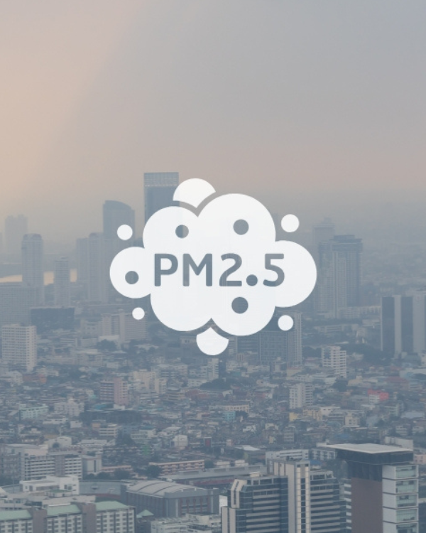 Measuring the Microns: Advancing Particulate Pollution Management – Insights from Real-Time Source Apportionment