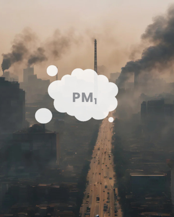 Measuring the Microns: Advancing Particulate Pollution Management – Insights From Size-Resolved Measurements