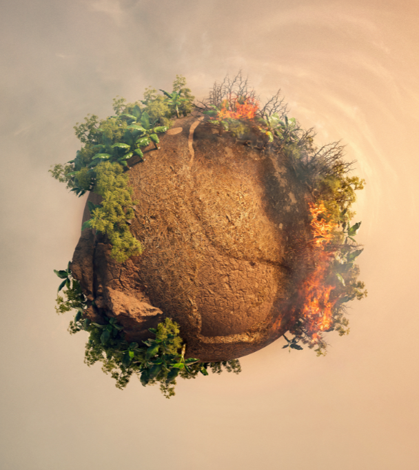 For India, COP31 Must Turn Climate Promises Into Projects That Reach People
